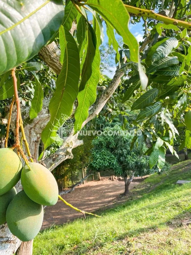 Instalaciones Sede Mesitas del Colegio — Fotografía 15 de 16